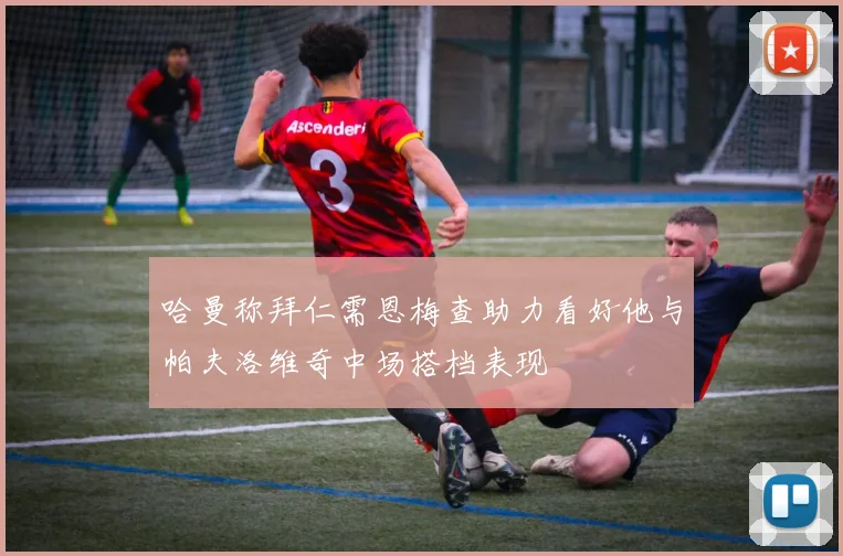 哈曼称拜仁需恩梅查助力看好他与帕夫洛维奇中场搭档表现