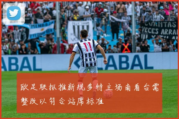欧足联拟推新规多特主场南看台需整改以符合站席标准