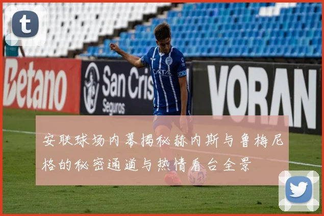 安联球场内幕揭秘赫内斯与鲁梅尼格的秘密通道与热情看台全景